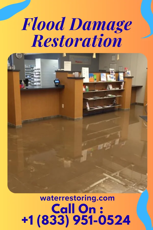 Flood Damage Restoration in Garfield, GA